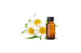 Razorveda | Chamomile oil 