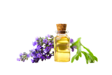 Razorveda | Lavender Oil 
