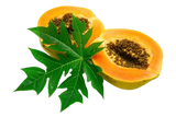 Razorveda | Papaya extract