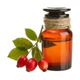 Razorveda | Rosehip essential oil