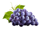 Razorveda | Wine grape