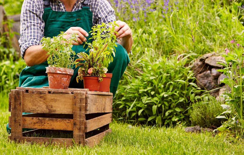 gardening