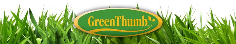 Green Thumb Lawn Food 15,000 square feet Gilford hardware