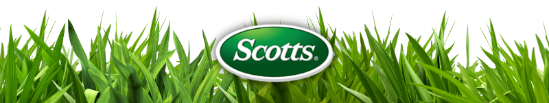 Scotts Grass Seed Gilford Hardware store near me