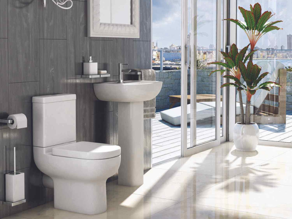 Flush Forward: Embracing Dual Flush Advantages for Sustainable Living