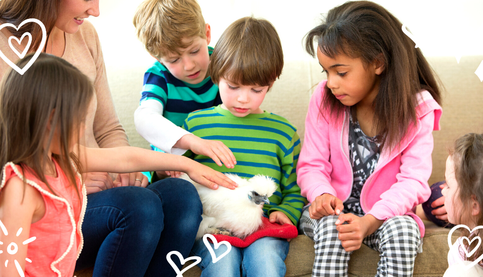 Children petting a white silkie bantam chicken on a boy’s lap