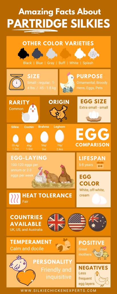 facts about partridge silkie chicken infographic