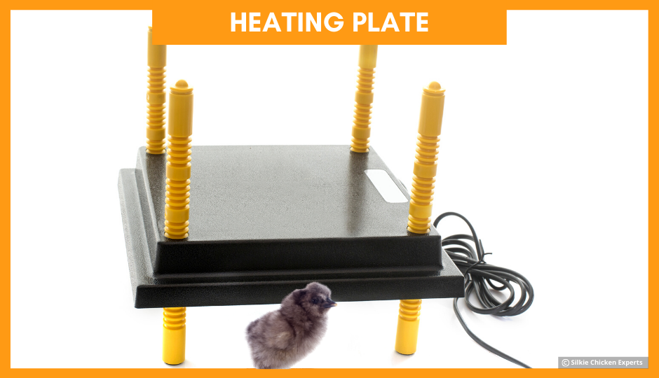heating plate for silkie chicks