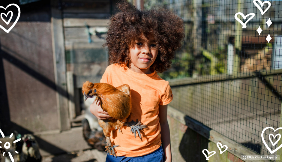 little boy holding a buff silkie chicken inside the coop