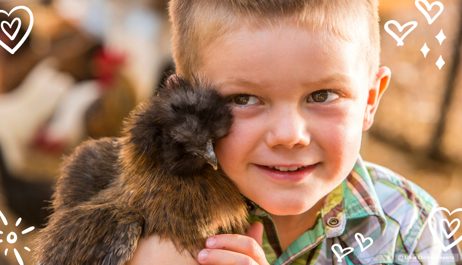 little boy hugging a silkie chicken