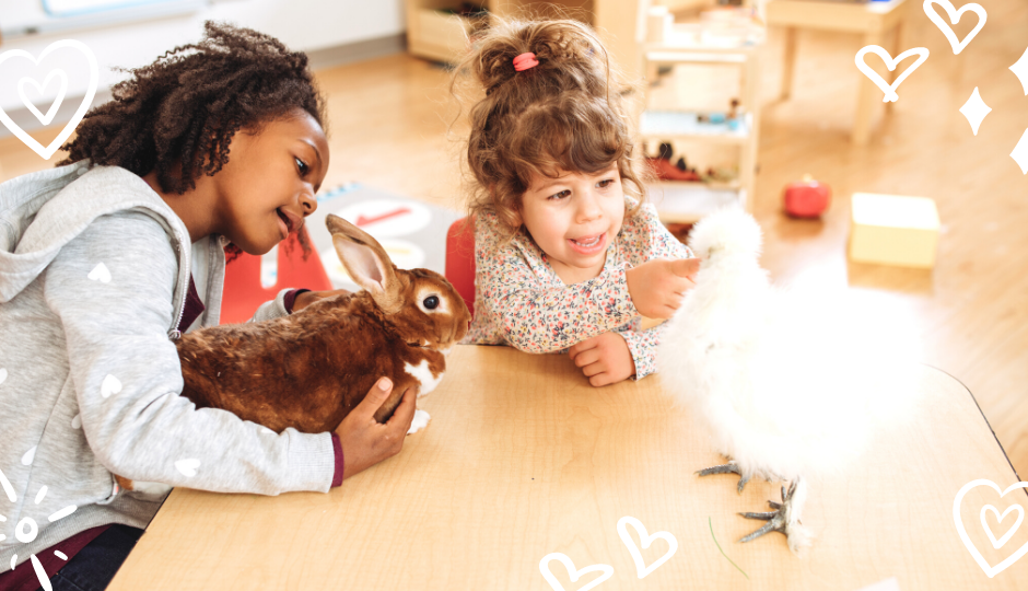 Little girls playing with a brown rabbit and a white silkie chicken