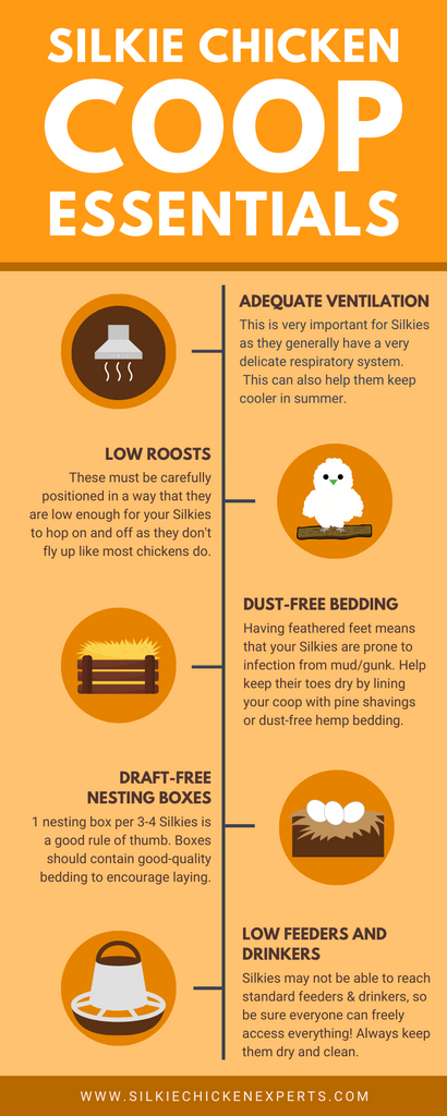 silkie chicken coop essentials infographic