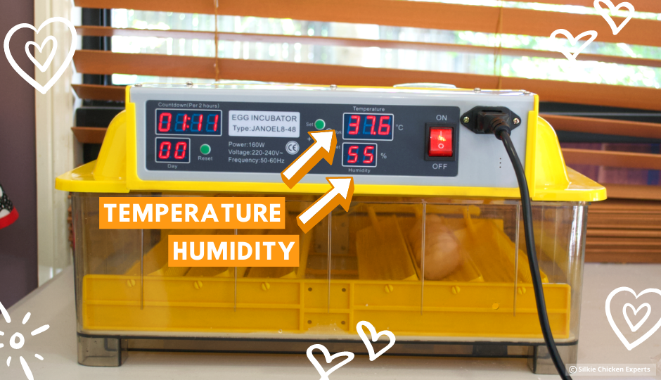 temperature and humidity of an automatic egg incubator