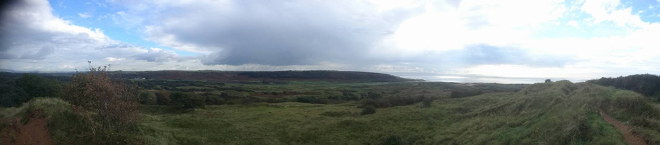 moorland scene