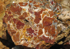 Picture Jasper Chunk