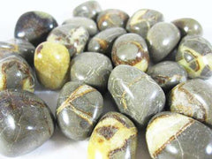 Septaria Tumble Stones