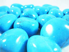  Turquoise Howlite Tumble Stones