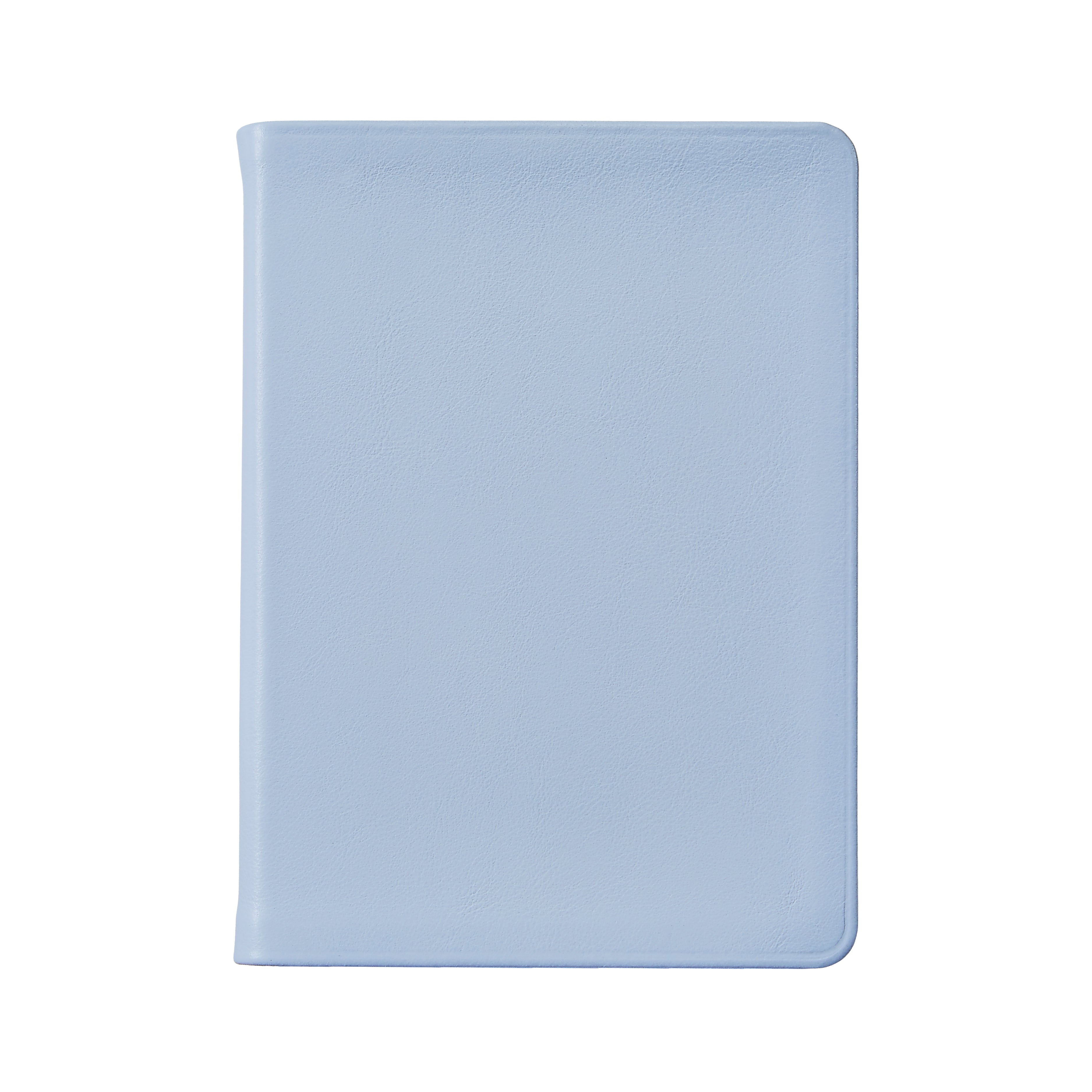 Graphic Image Medium Travel Journal Light Blue Italian Calfskin Leather