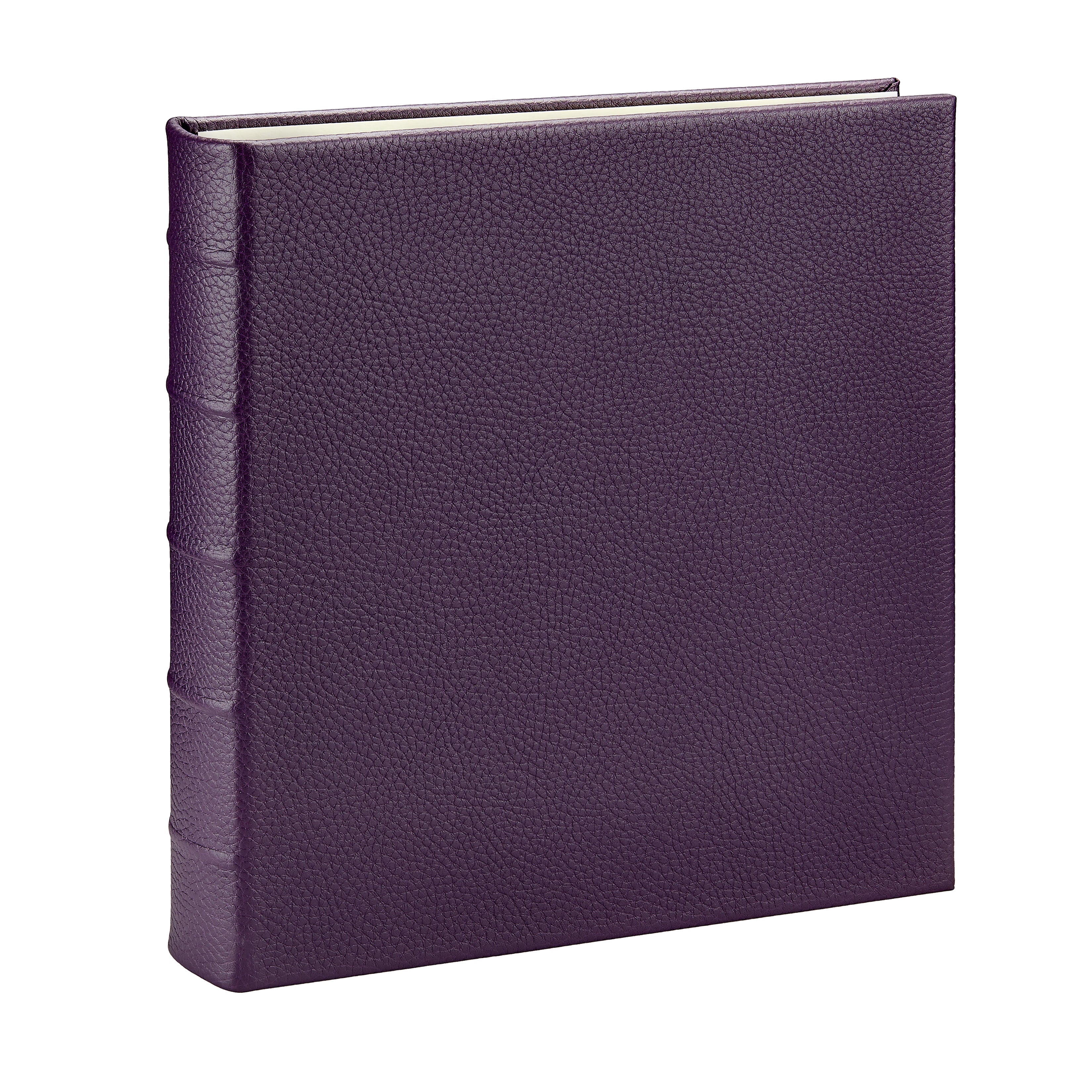 Graphic Image Large Ring Clear Pocket Album Plum Pebble Grain Leather