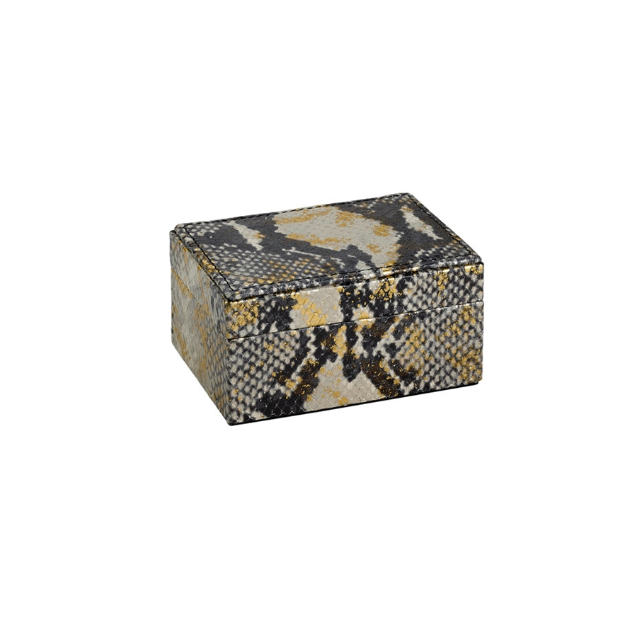 Graphic Image Small Box Gold Wash Embossed Python Leather