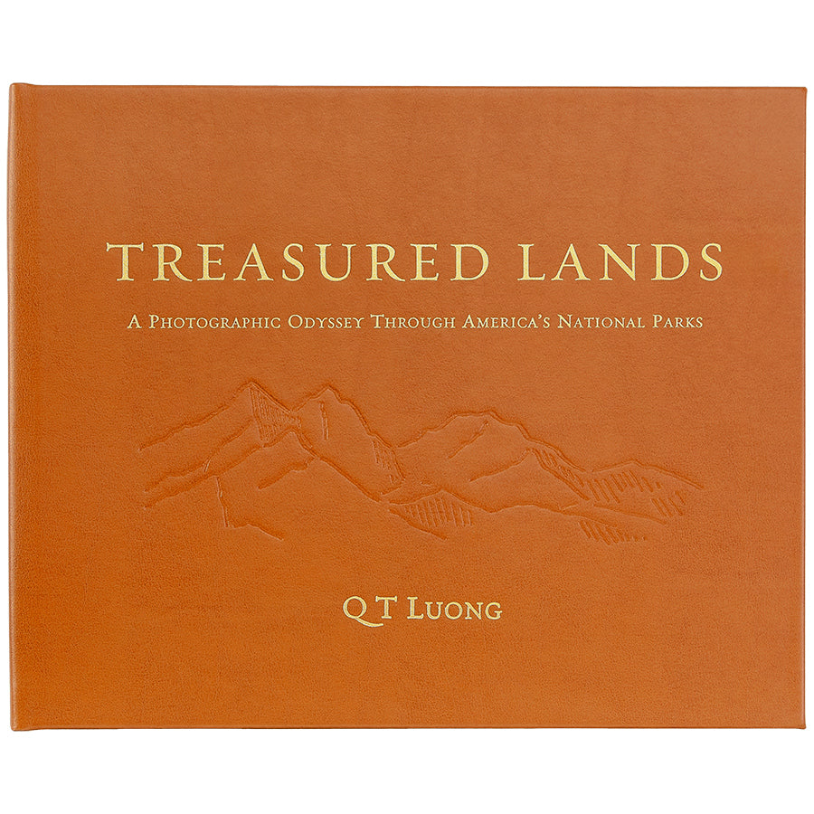 Graphic Image Treasured Lands Tan Bonded Leather