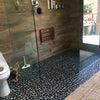 Matte Black Flat Pebble Mosaic 12" x 12"