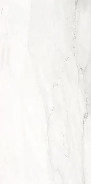 Delicato Blanco Polished 24X48 Wall And Floor Tile