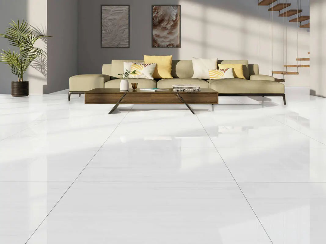 Evoque Blanco Polished & Matte 24X48 Wall And Floor Tile
