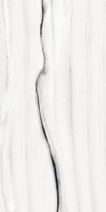Panda Nero Polished 24X48 Wall And Floor Tile