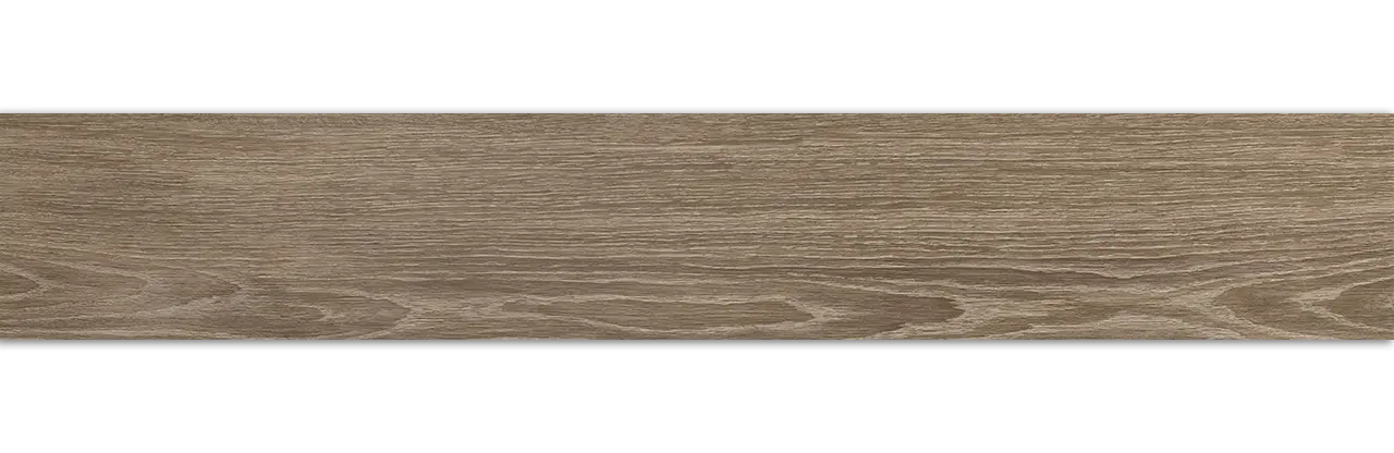 Abbey 8”x48” Indoor & Outdoor Glazed Porcelain Wall   Floor Tile Vison