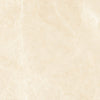 Noble White Cream Polished Wall and Floor Tile 18x36"