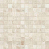 Queen Beige Polished Square Mosaic Tile 1x1"