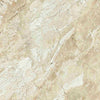 Queen Beige Polished Wall and Floor Tile 12x24"