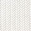 Bianco Dolomite Polished Herringbone Mosaic Tile 1"x2"