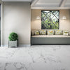 Statuary Porcelain Wall and Floor Tile view