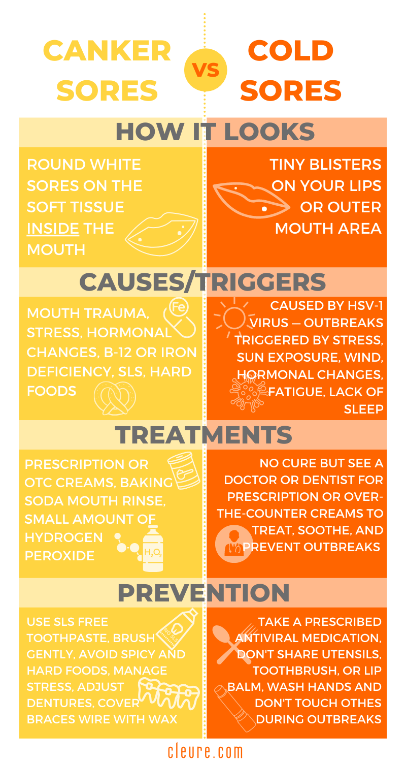 difference between canker sores and cold sores infographic