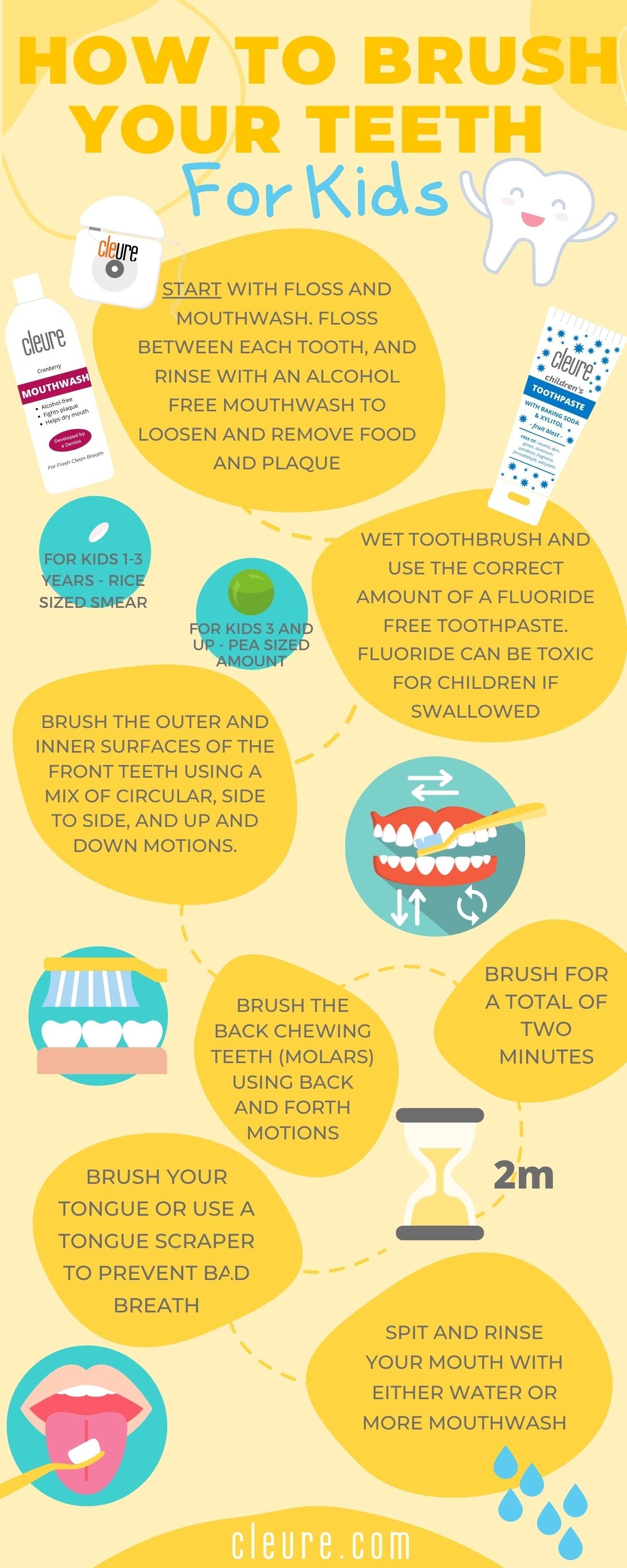 how to brush your teeth for kids infographic - Cleure