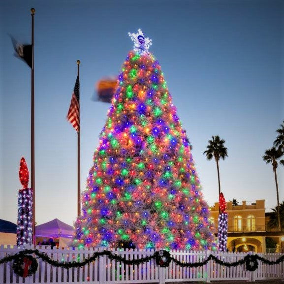 Tumbleweed Christmas Tree