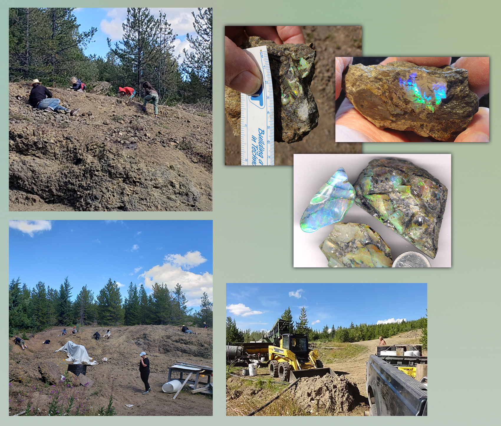 Canadian Opals - You dig for your own opals