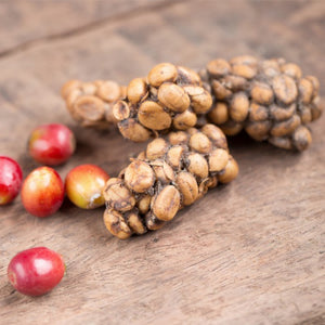 Buy Kopi Luwak Coffee Beans from Civet Cats Online – Coffee Bean Shop