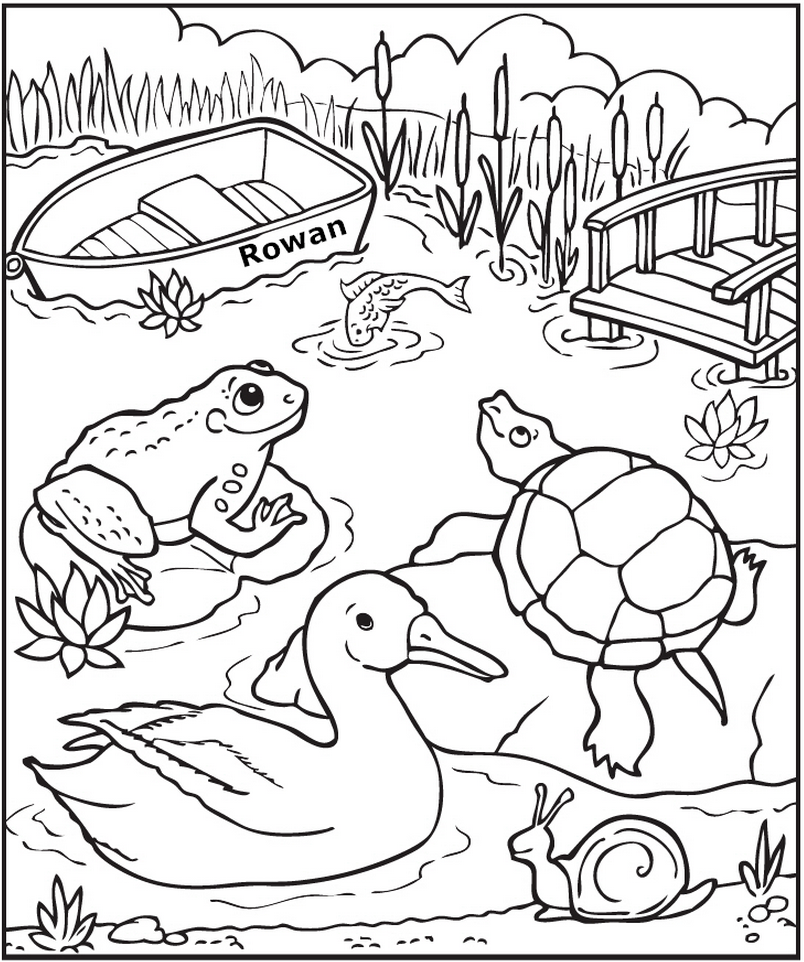 623 Cartoon Pond Coloring Pages for Kids