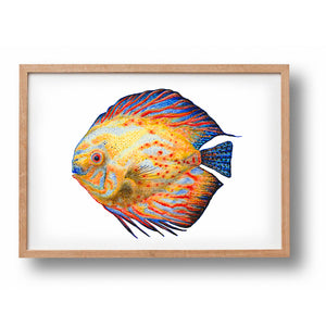Poster tropische vis blauw/geel Mies to Go