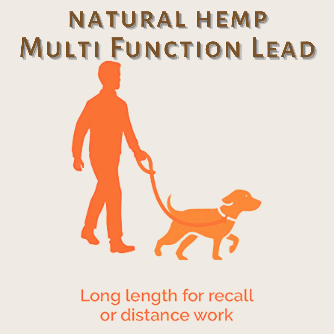 Multifunction dog leash in Natural Hemp, Long length for recall or distance training