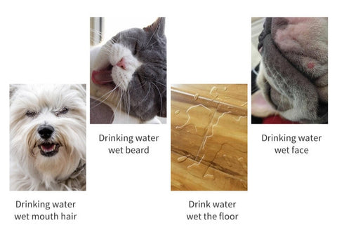Water Fountain, Dog Water Dispenser, Water Dispenser, Cat Water Dispenser, Floating Bowl