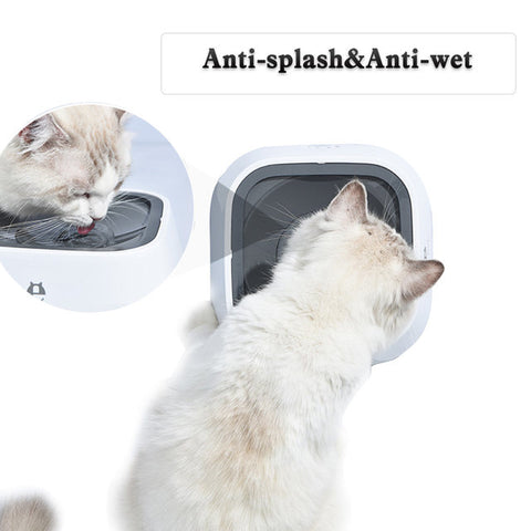 Water Fountain, Dog Water Dispenser, Water Dispenser, Cat Water Dispenser, Floating Bowl