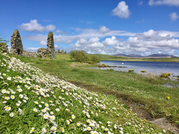 Loch Finlaggan - Eilean Mòr - Lord of the Isles, Islay | Abbey Whisky Online