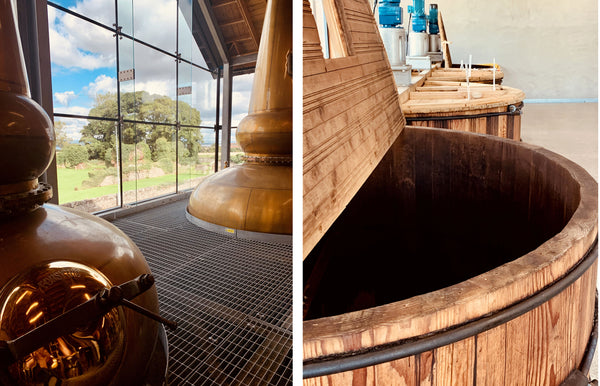 Lindores Abbey Distillery Washbacks and Stills | Abbey Whisky