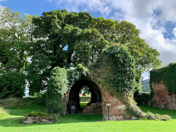 Lindores Abbey Distillery Ruins | Abbey Whisky
