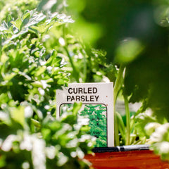 Garden Box - Herbs
