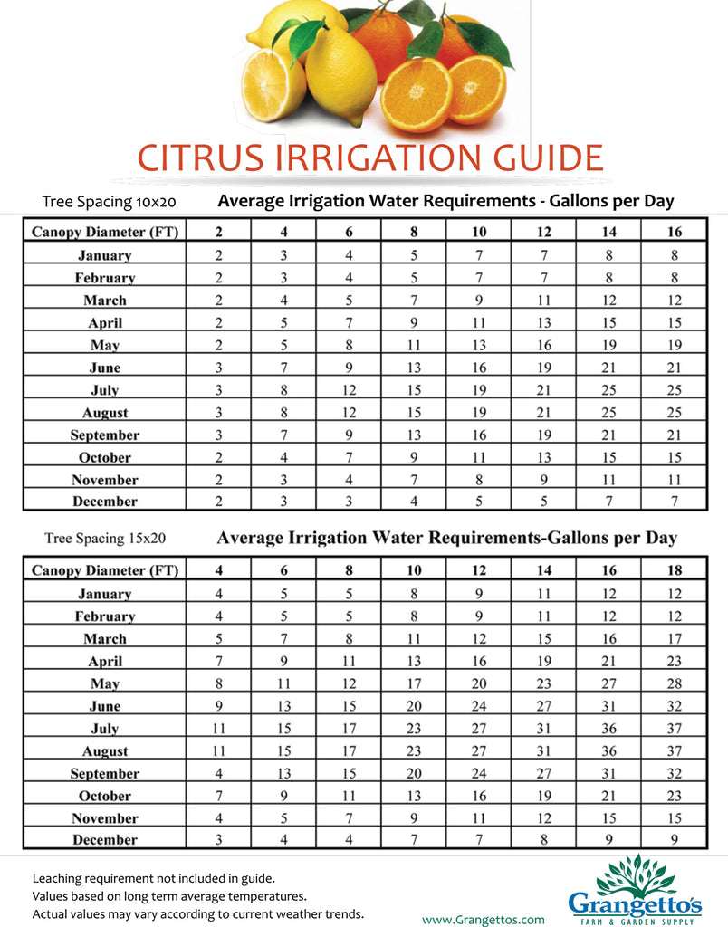 Citrus Irrigation Guide